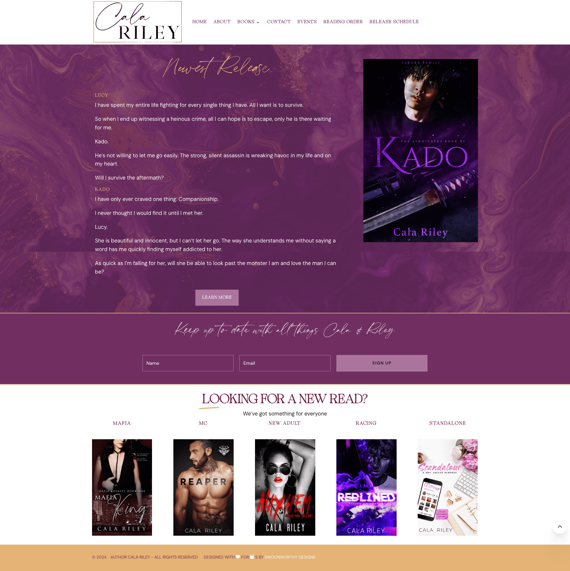 romance author website porfolio