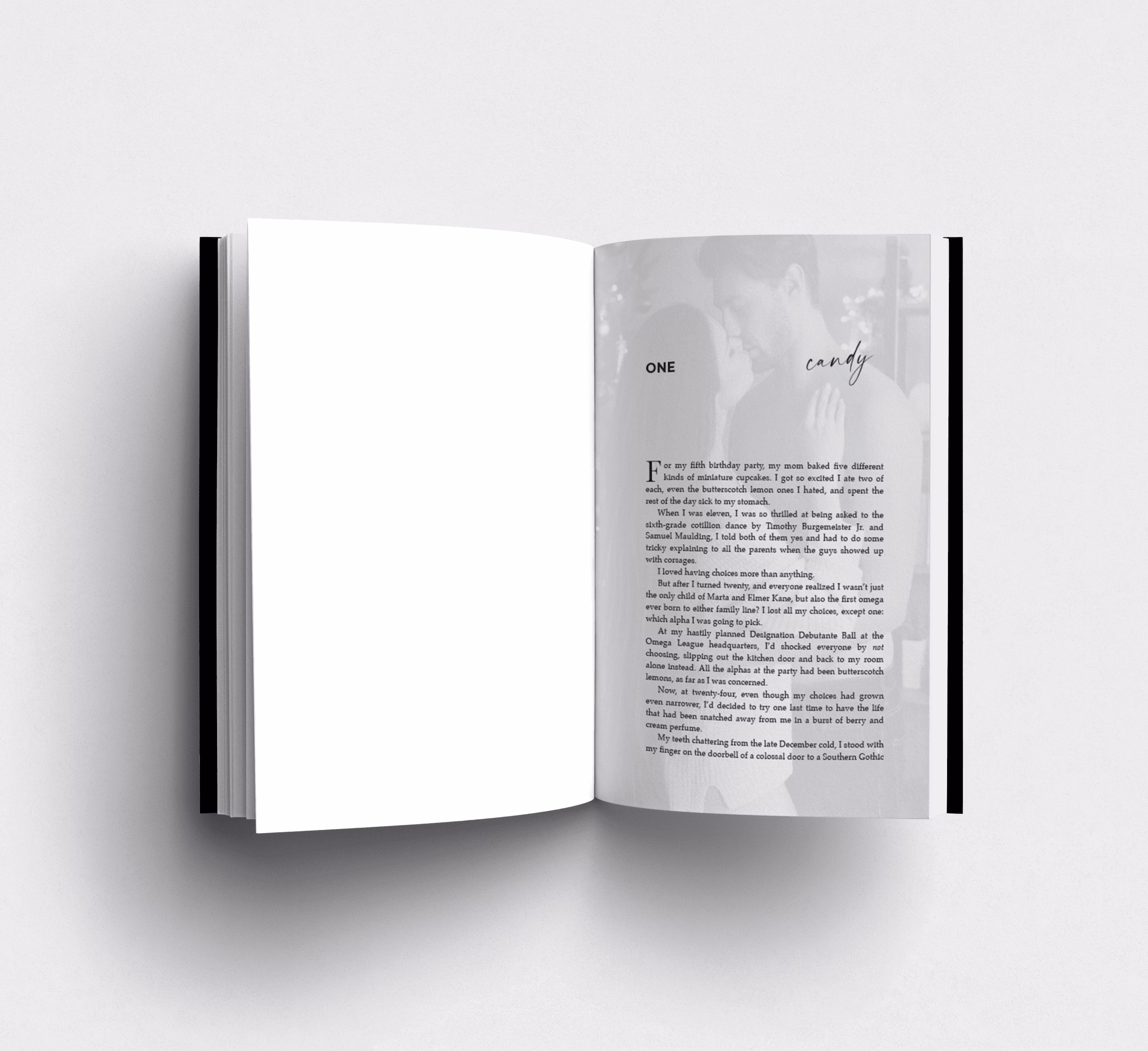 Merri Bright Omnibus SE Format